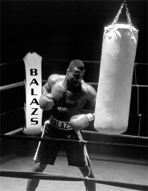 Boxer using Balazs Boxing Logo during training