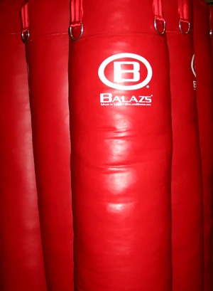 Balazs Boxing