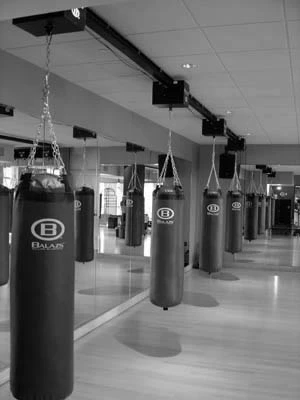 mounted boxing bags