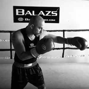 boxer