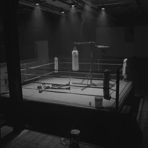 Boxer knocked out by Universal Boxing Stand in boxing ring